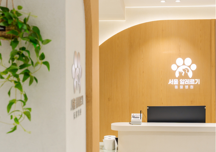 안내데스크 사진