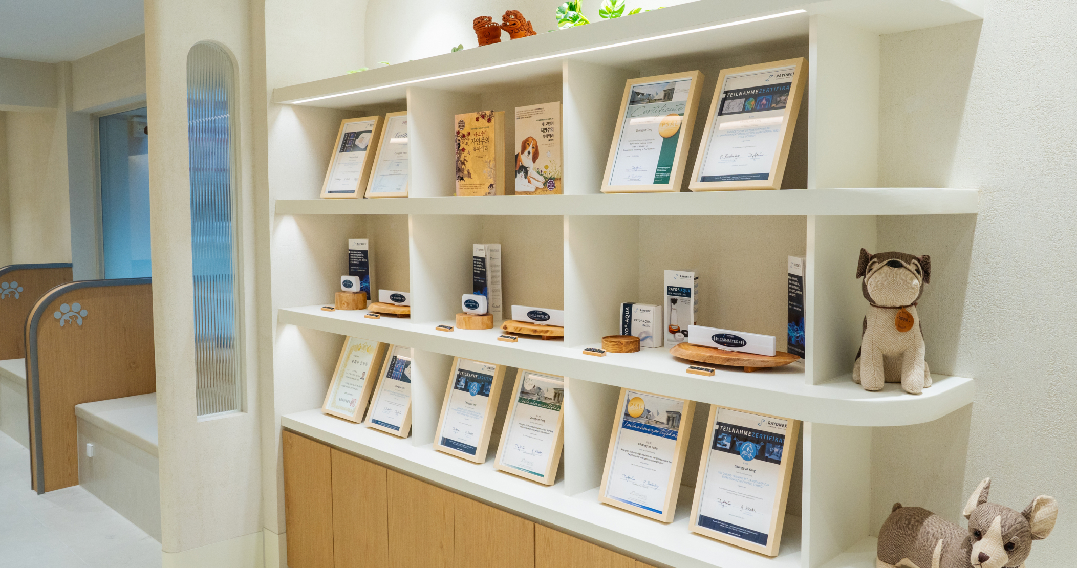 진료 철학을 담은 공간 사진