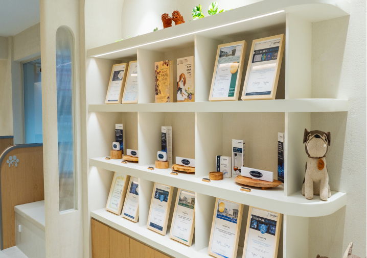 진료 철학을 담은 공간 사진