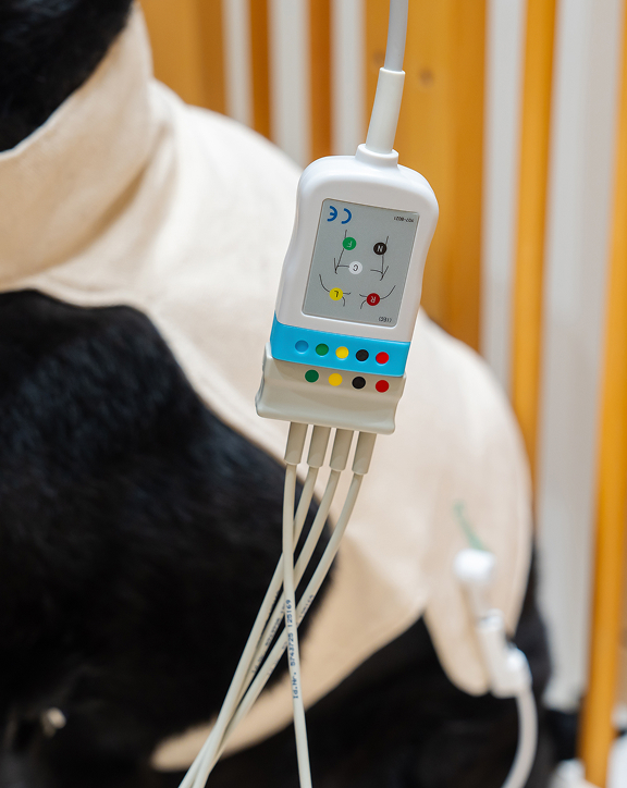 검사 결과 설명 모습