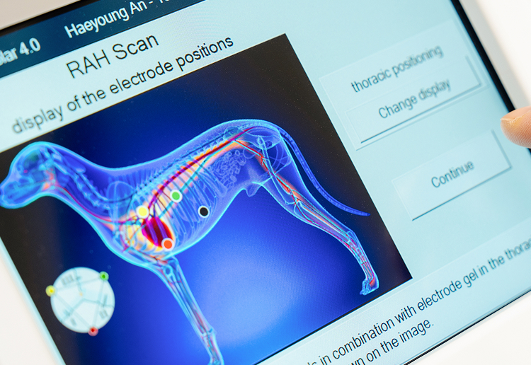 치료법 관련 이미지