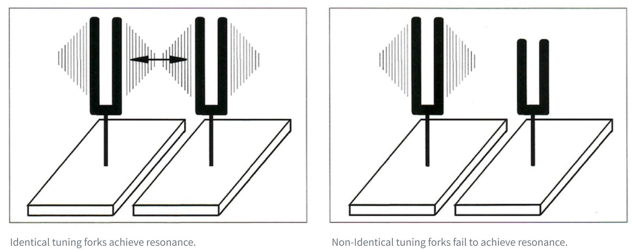 Identical tuning forks achieve resonance, Non-Identical tuning forks fail to achieve resonance.