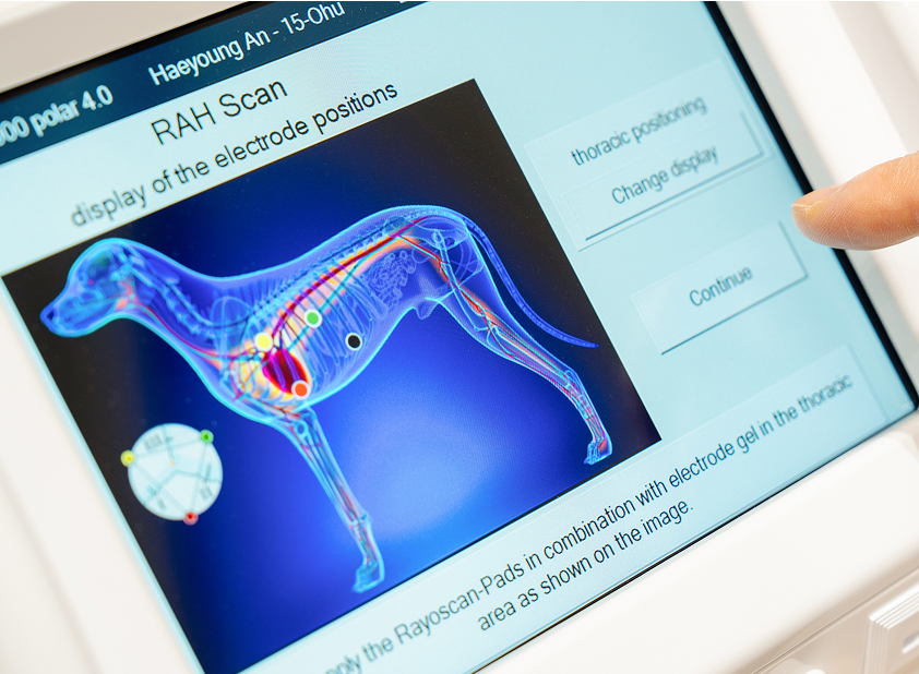생체공명 스캔 화면