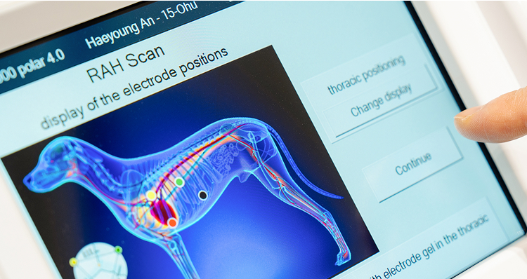 생체공명 스캔 화면