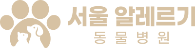 서울알레르기동물병원